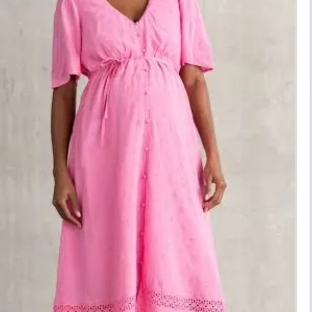 Seraphine Maternity and Nursing Dress